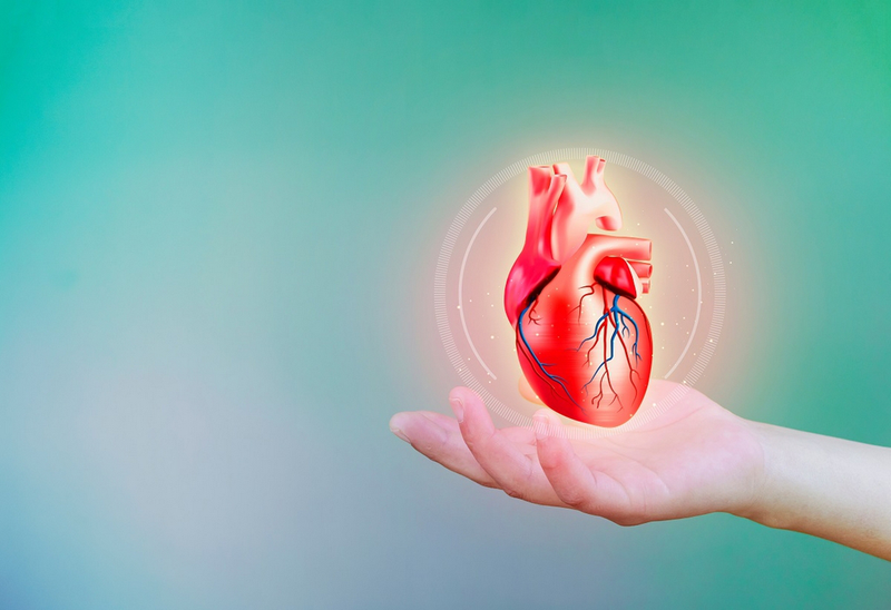 Cách phát hiện sớm suy tim độ 1 và ngăn bệnh tiến triển nặng